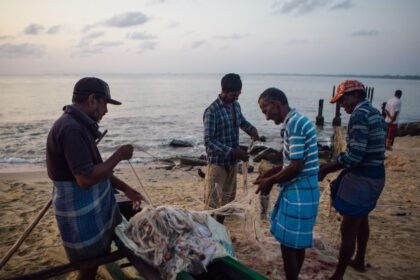 The inexplicable upward push of kidney illness in Sri Lanka’s farming communities