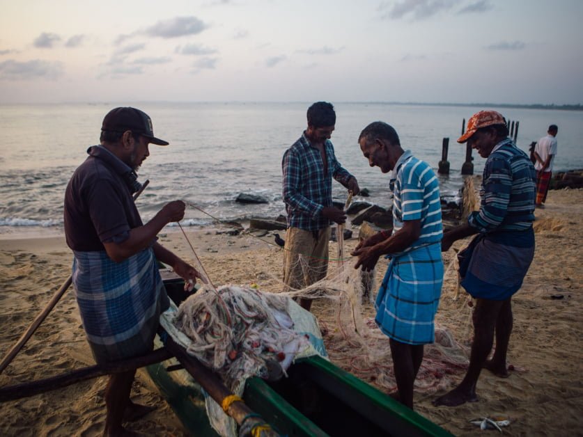 The inexplicable upward push of kidney illness in Sri Lanka’s farming communities