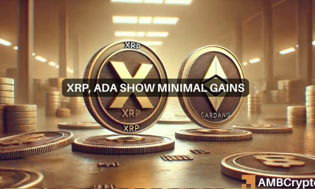 Why sticking with XRP, Cardano could maybe no longer pay off